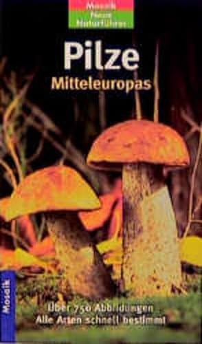 Beispielbild für Mosaik Neue Naturführer Pilze Mitteleuropas zum Verkauf von medimops