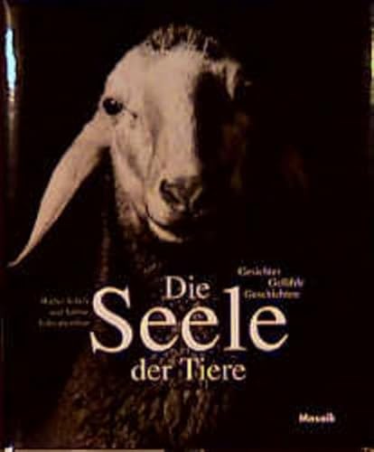 Die Seele der Tiere: Gesichter Gefühle Geschichten