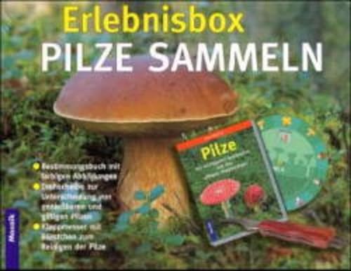 Beispielbild fr Erlebnisbox Pilze sammeln, Set zum Verkauf von medimops