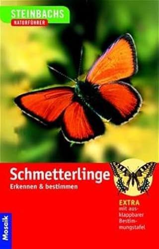 Beispielbild fr Steinbachs Naturfhrer. Schmetterlinge. Erkennen und bestimmen zum Verkauf von medimops