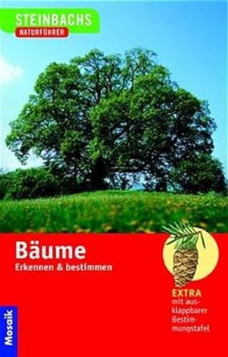 Stock image for Steinbachs Naturfhrer. Bume. Erkennen und bestimmen. for sale by Irish Booksellers