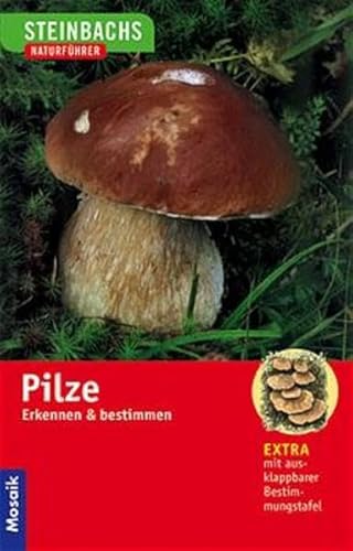 Beispielbild fr Steinbachs Naturfhrer. Pilze: Erkennen und bestimmen zum Verkauf von medimops