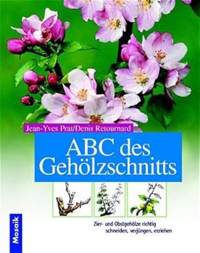 Beispielbild fr ABC des Gehlzschnitts. Zier- und Obstgehlze richtig schneiden, verjngen, erziehen zum Verkauf von medimops