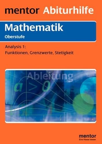 Mathematik - Analysis 1 / Funktionen, Grenzwert, Stetigkeit. Mit Musteraufgaben und ausführlichem...