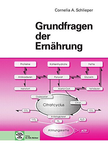 Stock image for Grundfragen der Ernhrung for sale by medimops