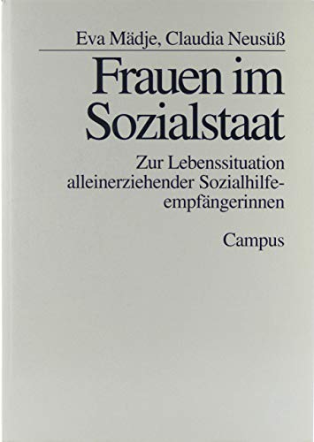 9783593355153: Frauen im Sozialstaat: Zur Lebenssituation alleinerziehender Sozialhilfeempfngerinnen