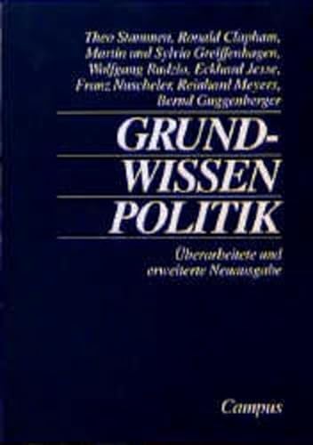 9783593359168: Grundwissen Politik.