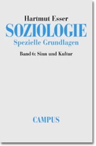 9783593364230: Soziologie, Spezielle Grundlagen, 6 Bde., Bd.6, Sinn und Kultur