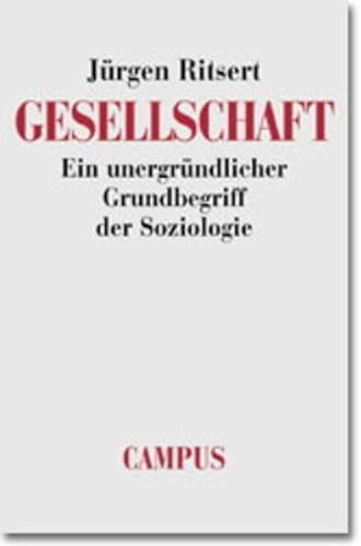 Stock image for Gesellschaft: Ein unergrndlicher Grundbegriff der Soziologie for sale by medimops