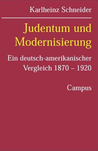 Judentum und Modernisierung. ein deutsch-amerikanischer Vergleich 1870 - 1920.