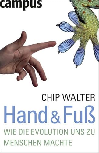 Stock image for Hand & Fu : wie die Evolution uns zu Menschen machte. Aus dem Engl. von Gabriele Herbst for sale by Versandantiquariat Schfer