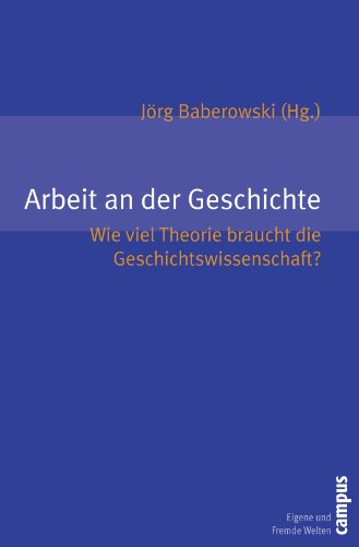 Beispielbild fr Arbeit an der Geschichte : Wie viel Theorie braucht die Geschichtswissenschaft? zum Verkauf von Buchpark