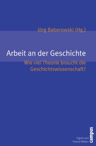 Stock image for Arbeit an der Geschichte : Wie viel Theorie braucht die Geschichtswissenschaft? for sale by Buchpark