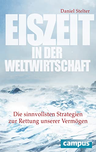 Stock image for Eiszeit in der Weltwirtschaft: Die sinnvollsten Strategien zur Rettung unserer Vermgen for sale by medimops