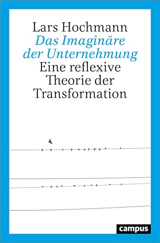 Stock image for Das Imaginre der Unternehmung: Eine reflexive Theorie der Transformation Hochmann, Lars for sale by BcherExpressBerlin