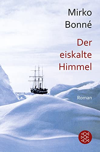 Stock image for Der eiskalte Himmel: Roman for sale by medimops