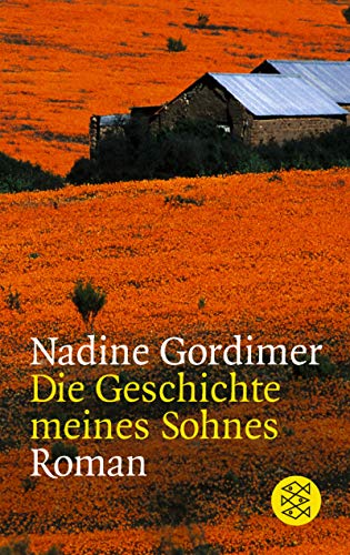 Die Geschichte meines Sohnes : Roman. Aus dem Engl. von Stefanie Schaffer- de Vries / Fischer ; 12434 - Gordimer, Nadine