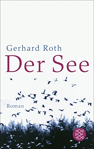 9783596140497: Der See