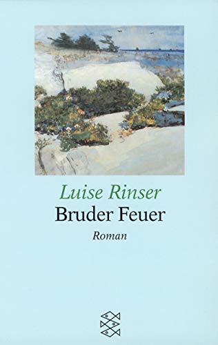 Stock image for Bruder Feuer (Fischer Grossdruck) Rinser, Luise for sale by tomsshop.eu