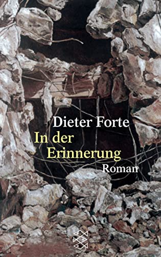 Beispielbild fr In der Erinnerung: Roman1. Januar 2001 von Dieter Forte zum Verkauf von Nietzsche-Buchhandlung OHG