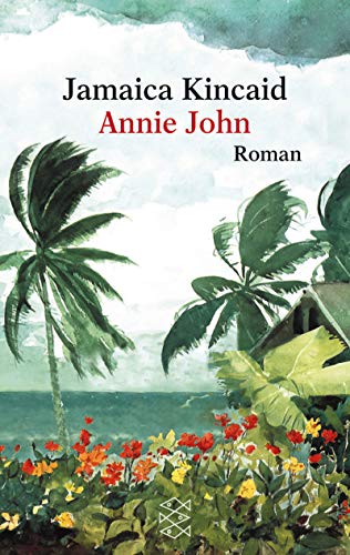 annie john novel annie john novel