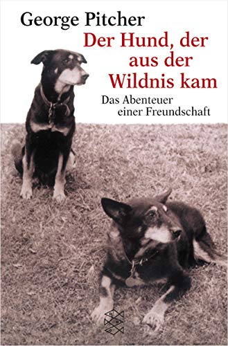 Stock image for DER HUND, DER AUS DER WILDNIS KAM Das Abenteuer Einer Freundschaft for sale by Zane W. Gray, BOOKSELLERS