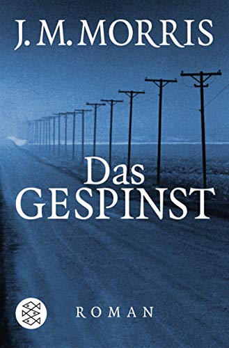 9783596154241: Das Gespinst;