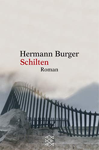 9783596155439: Schilten: Roman