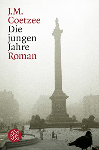 Beispielbild fr Die Jungen Jahre: Roman zum Verkauf von Revaluation Books