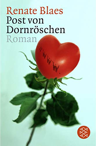 9783596156672: Post von Dornrschen.