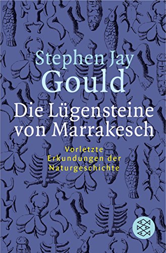 Beispielbild fr Die Lgensteine von Marrakesch: Vorletzte Erkundungen der Naturgeschichte zum Verkauf von medimops