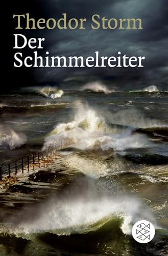 9783596159826: Der Schimmelreiter