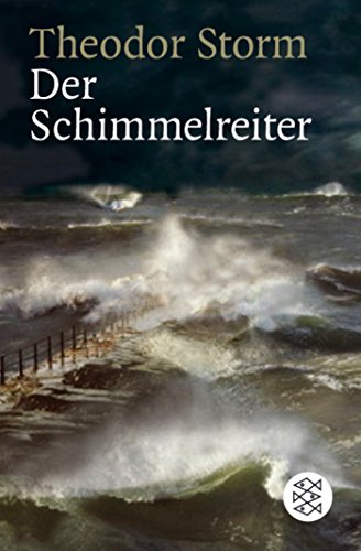 Imagen de archivo de Der Schimmelreiter: Novelle a la venta por medimops