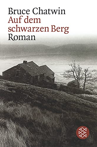 Stock image for Auf dem schwarzen Berg: Roman for sale by medimops