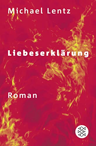 Stock image for Liebeserklrung: Roman for sale by medimops