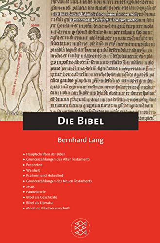 Beispielbild fr Die Bibel zum Verkauf von medimops