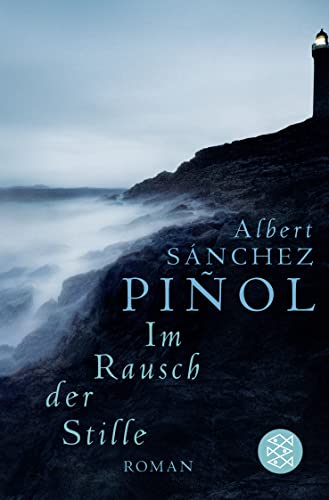 Stock image for Im Rausch der Stille: Roman for sale by medimops