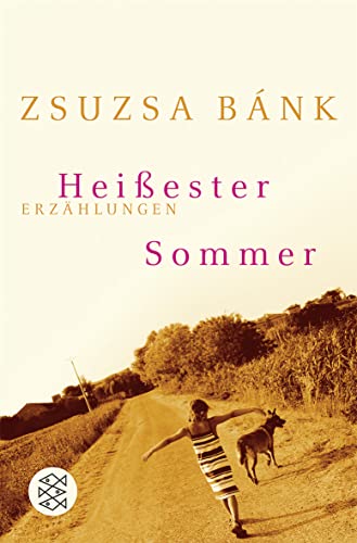 Stock image for Heiester Sommer: Erzhlungen for sale by medimops