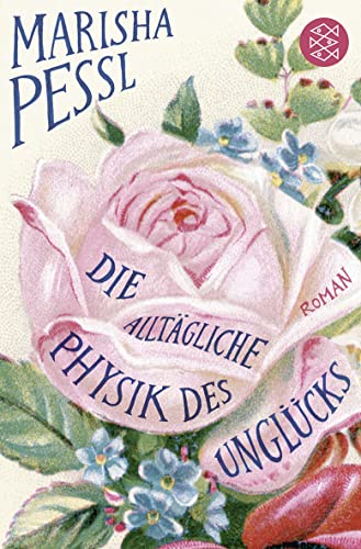Stock image for Die alltgliche Physik des Unglcks: Roman for sale by Gabis Bcherlager
