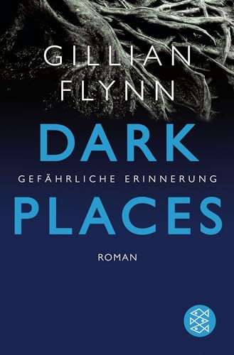 9783596173983: Dark Places - Gefhrliche Erinnerung: Thriller