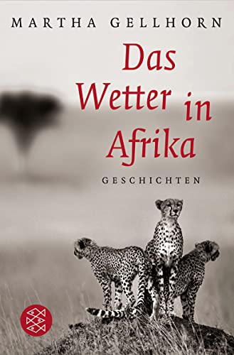 Beispielbild fr Das Wetter in Afrika: Novellen (Literatur) zum Verkauf von medimops