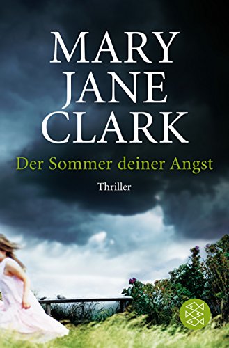 Stock image for Der Sommer deiner Angst for sale by Frau Ursula Reinhold