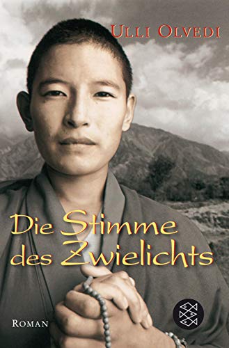 Stock image for Die Stimme des Zwielichts for sale by ThriftBooks-Dallas