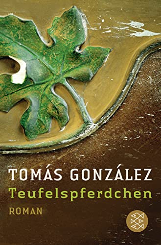 Stock image for Teufelspferdchen: Roman (Literatur) for sale by medimops