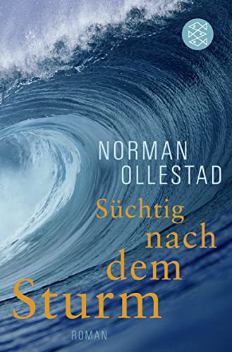 Beispielbild fr Schtig nach dem Sturm: Roman zum Verkauf von Leserstrahl  (Preise inkl. MwSt.)