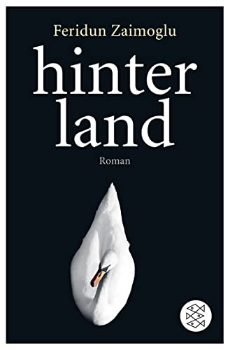 Beispielbild fr Hinterland: Roman zum Verkauf von medimops