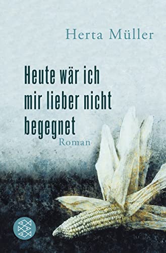 9783596188222: Heute wr ich mir lieber nicht begegnet: Roman