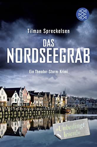 9783596194834: Das Nordseegrab: Ein Theodor-Storm-Krimi: 1