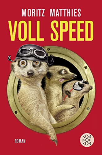 Beispielbild fr Voll Speed: Roman zum Verkauf von medimops