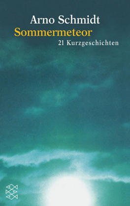 Imagen de archivo de Sommermeteor (5549 973). 23 Kurzgeschichten. a la venta por medimops